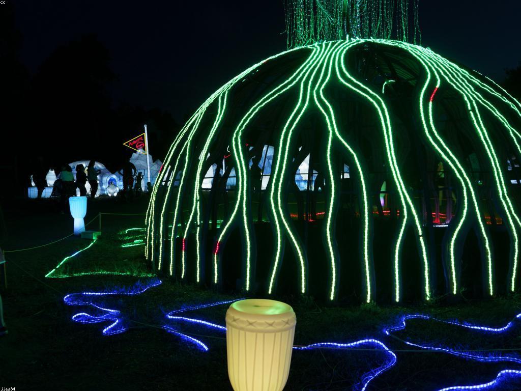 ពិធីការល្បែង៖ សិល្បៈនៃការចូលរួមក្នុងពិធីបុណ្យ