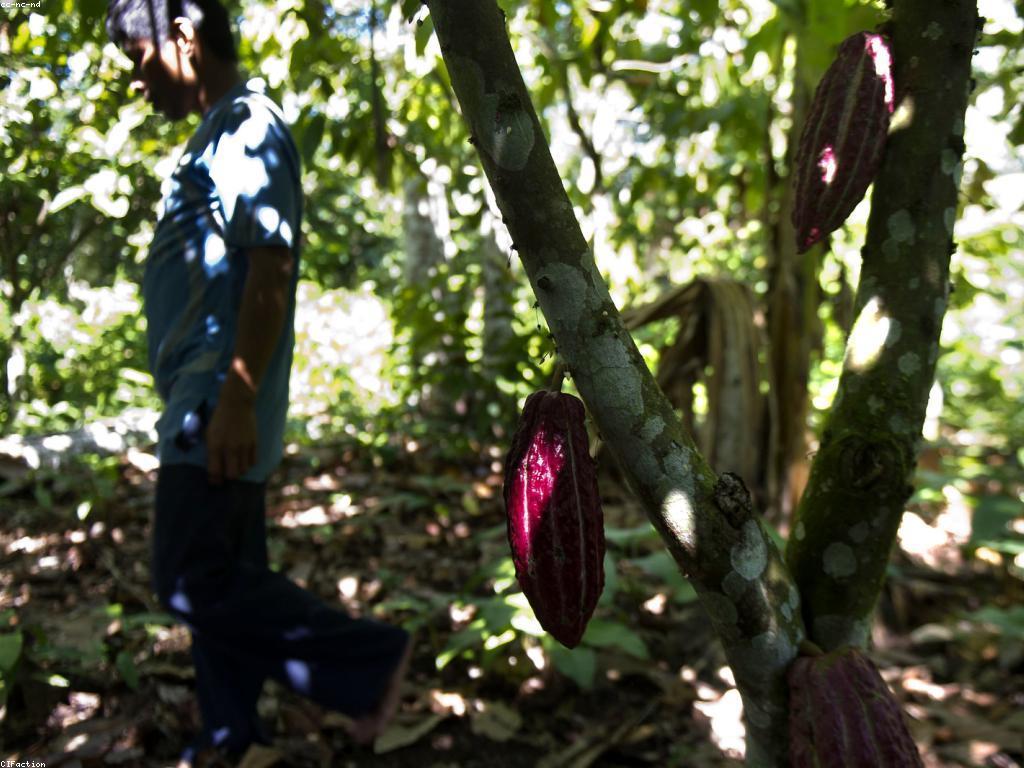 ឱកាសវិនិយោគក្នុងវិស័យកសិកម្ម