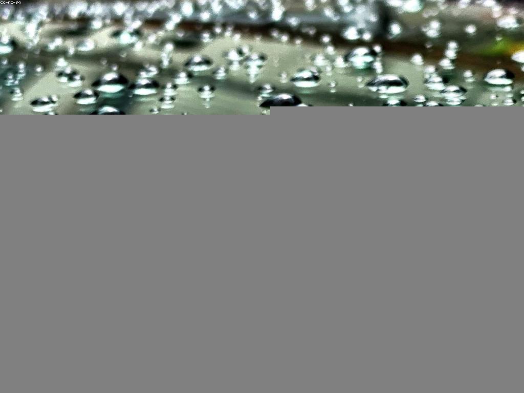 អង្គភាពអស្ចារ្យក្នុងពិធីការល្បែង